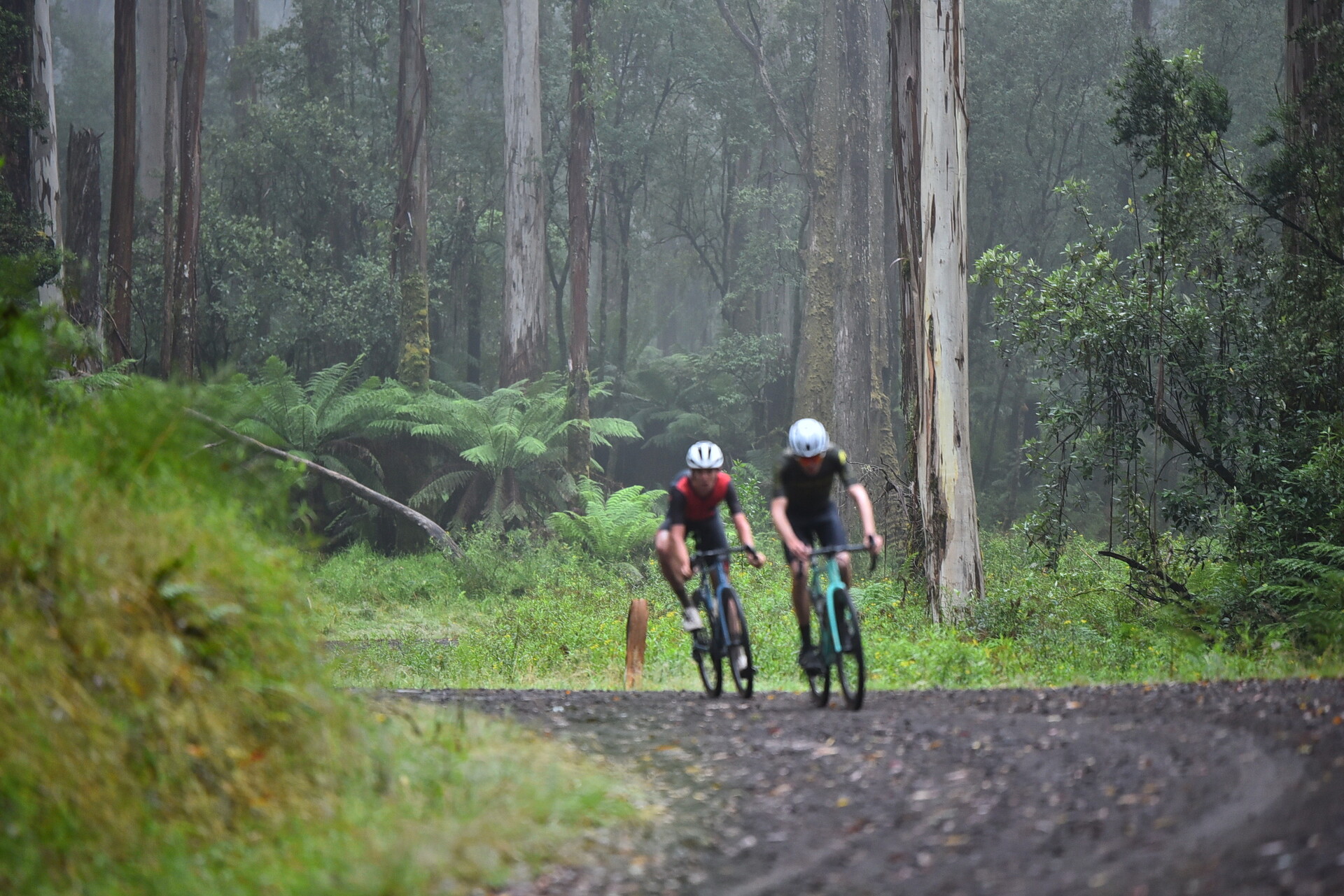 otway classic mtb